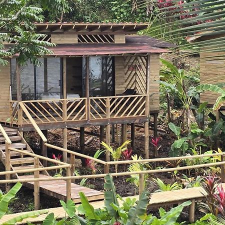 Pacific Nuqui Lodge Luaran gambar
