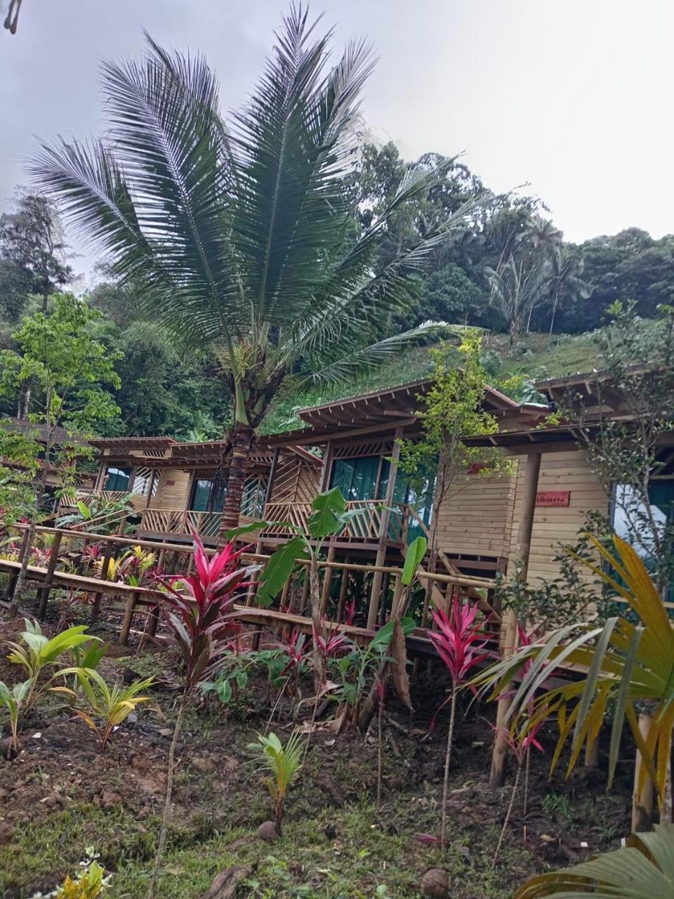 Pacific Nuqui Lodge Luaran gambar